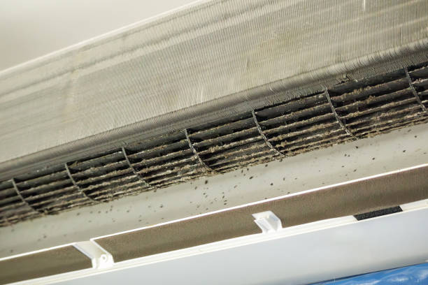 Best Affordable Duct Cleaning Services  in Richmond Heights, OH